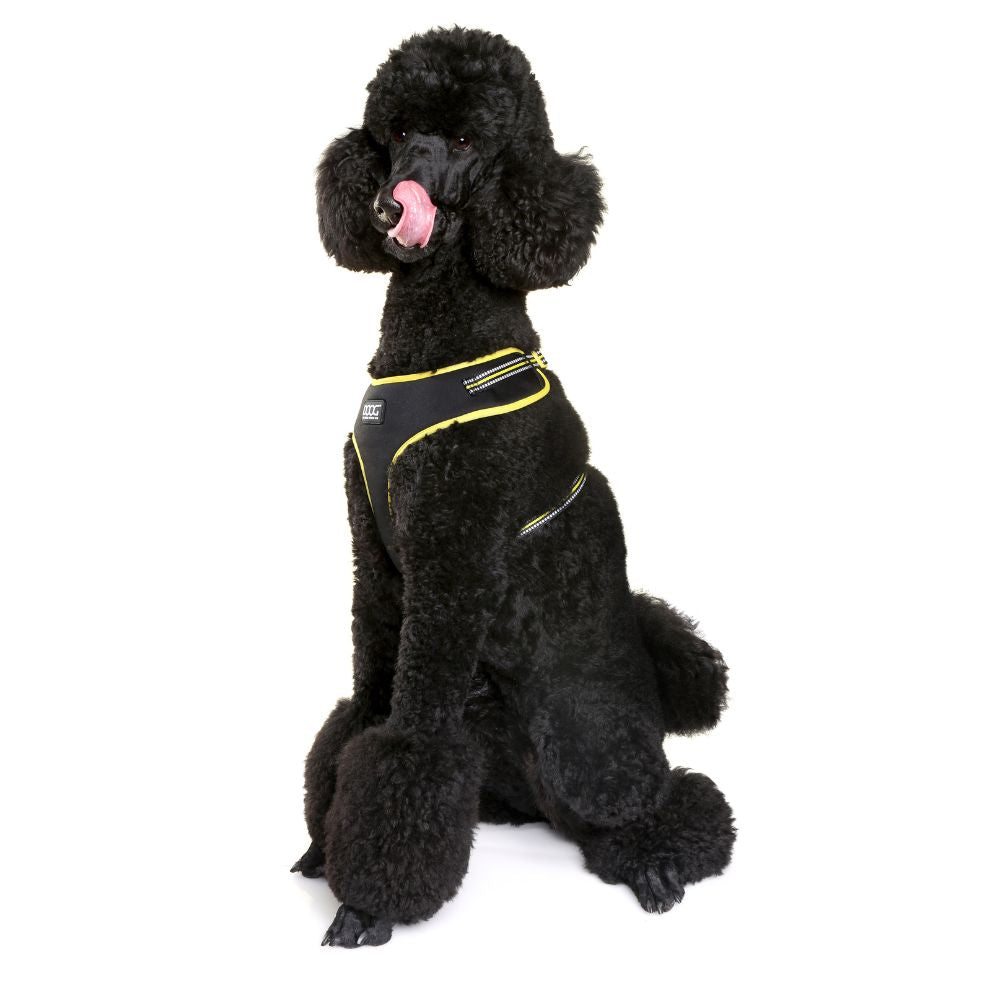 Arnés para Perros - Bolt Neoflex Harness de DOOG®