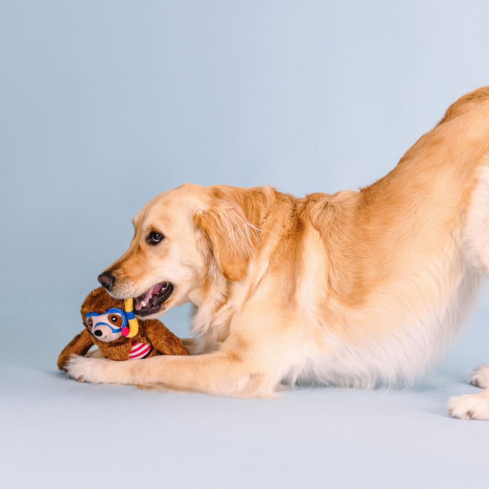 Juguete Tipo Plush para Perro - Swimmin' With The Fishes de Fringe®