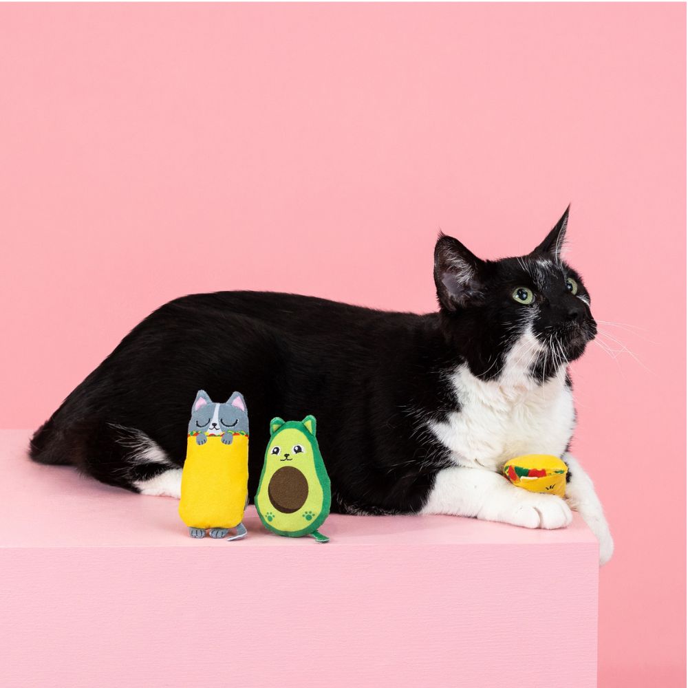 WalaDog - 3 Juguetes con Catnip para Gato - Kitty Cravings de Fringe®_3