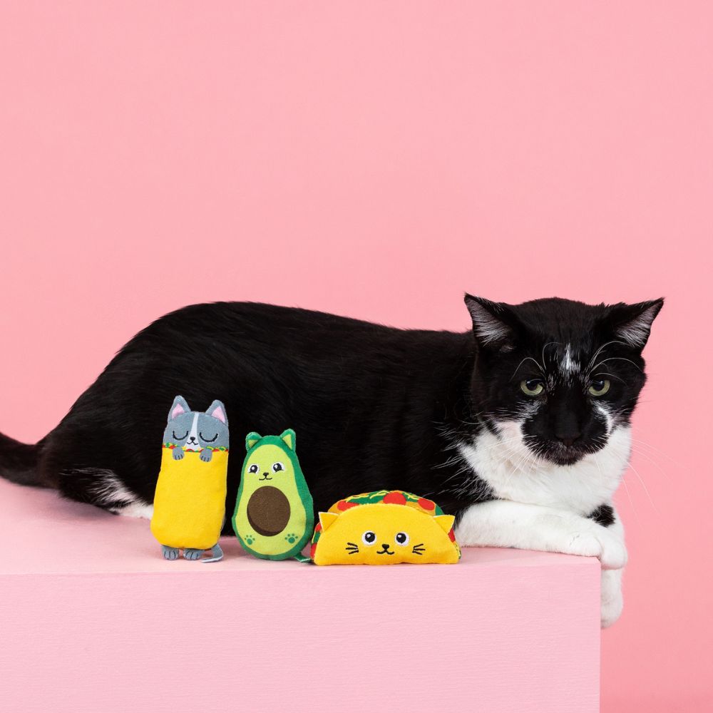WalaDog - 3 Juguetes con Catnip para Gato - Kitty Cravings de Fringe®_4