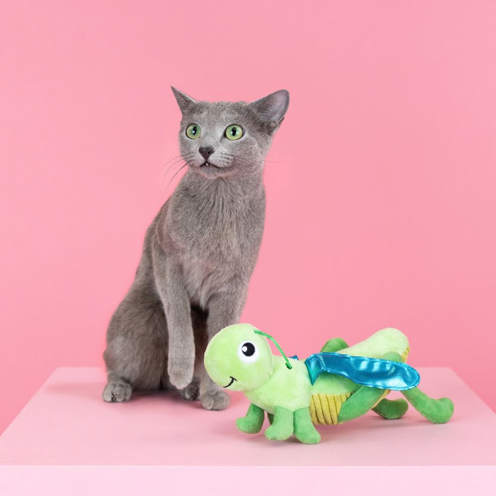 WalaDog - Juguetes con Catnip para Gato - Hop On By de Fringe®_3