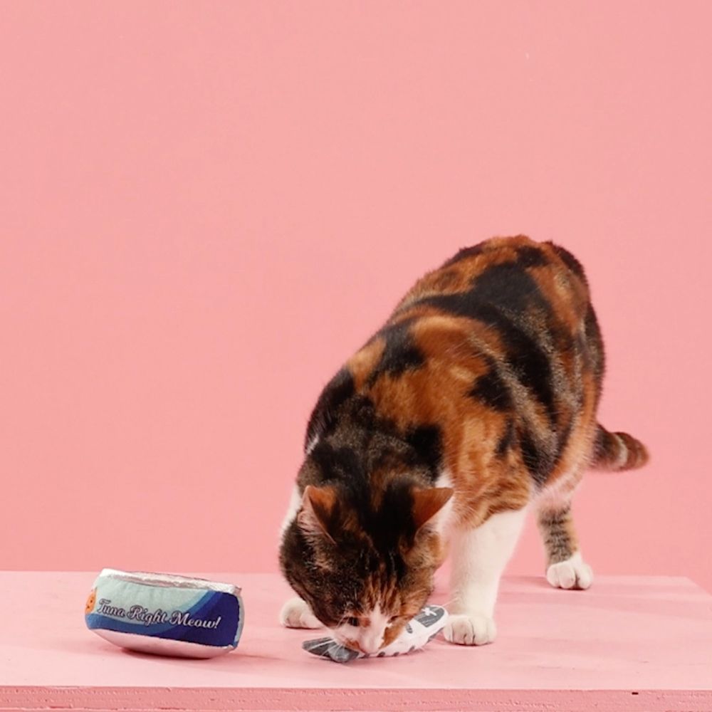 WalaDog - 2 Juguetes con Catnip para Gato - Tuna Right Meow de Fringe®_4