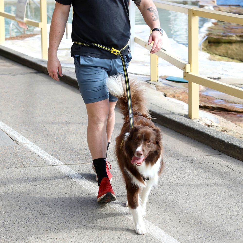 Correa para Perros con Broche para Atar - Bolt Clip It Neoprene Dog Leash de DOOG®