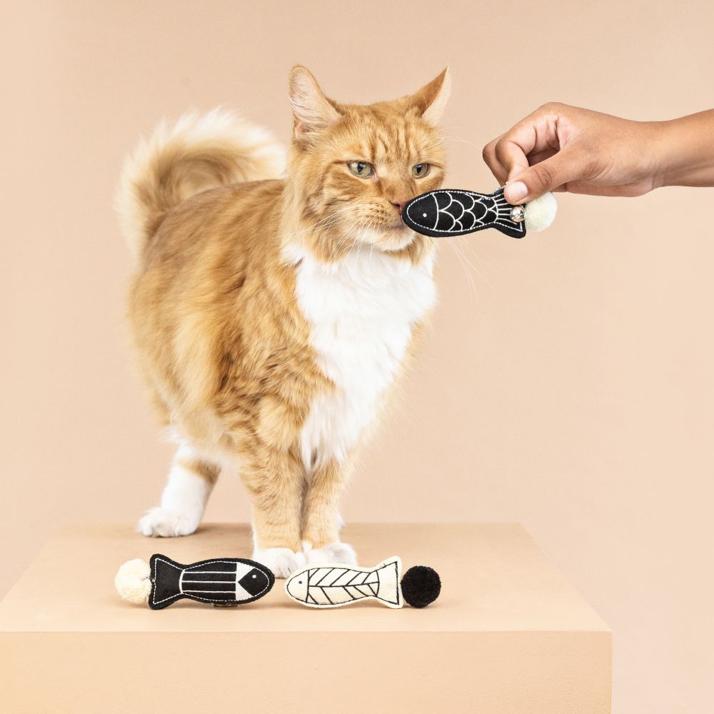 Set de 3 Juguetes con Catnip para Gato - Off The Scales de Fringe®