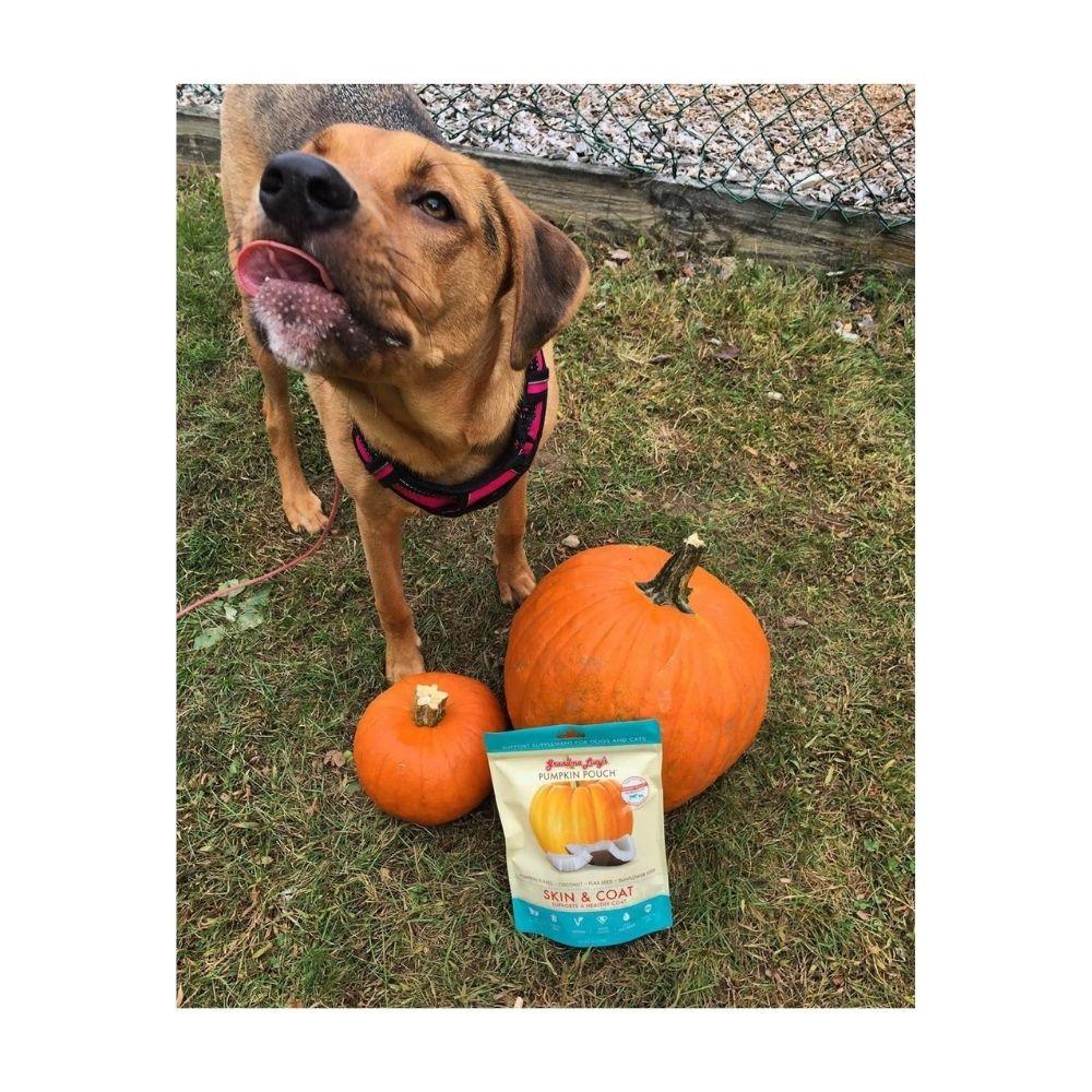Suplemento Alimenticio para Piel y Pelo Mascotas - Pumpkin Pouch de Grandma Lucy's®