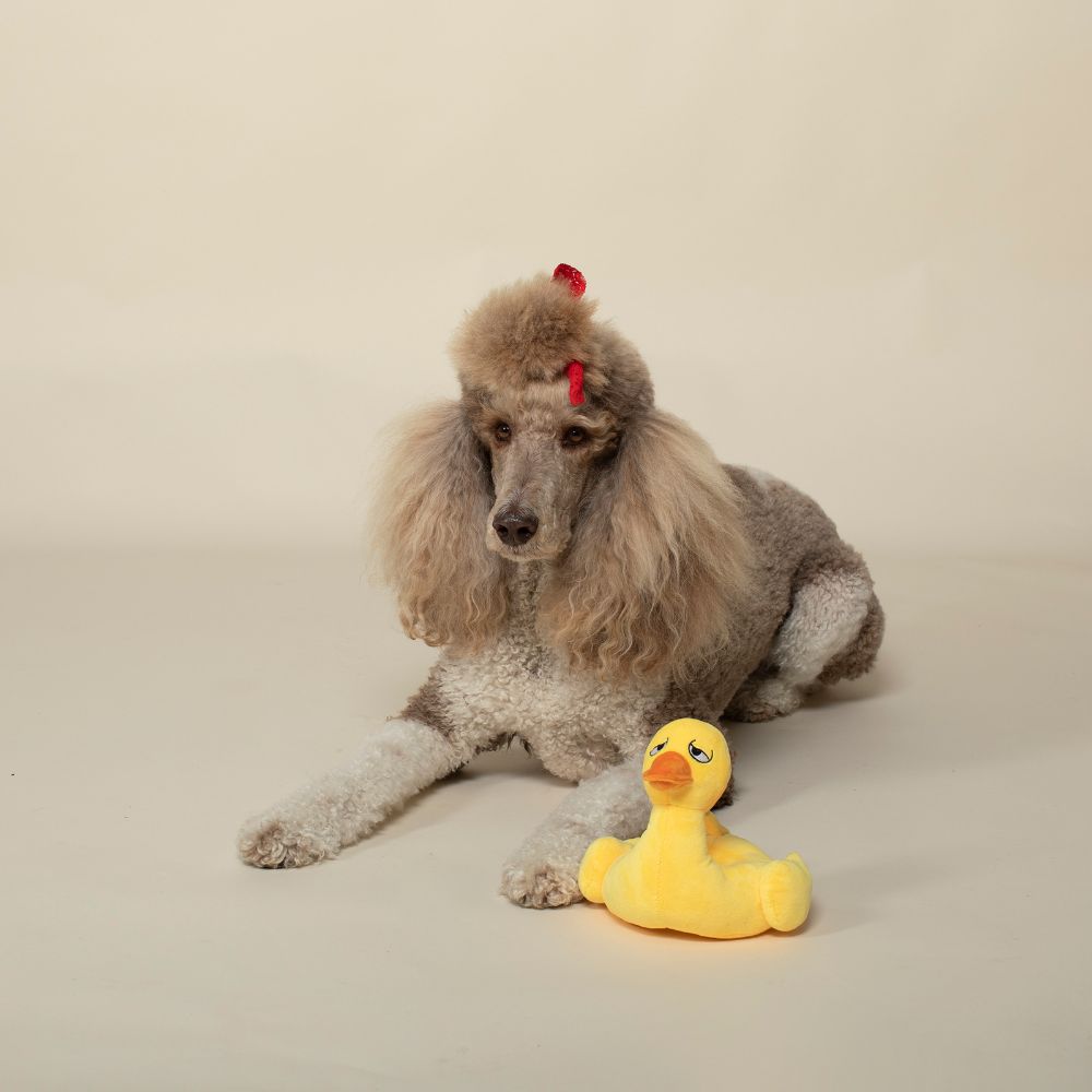 Juguete Tipo Plush para Perro - Just Floating By de Fringe®