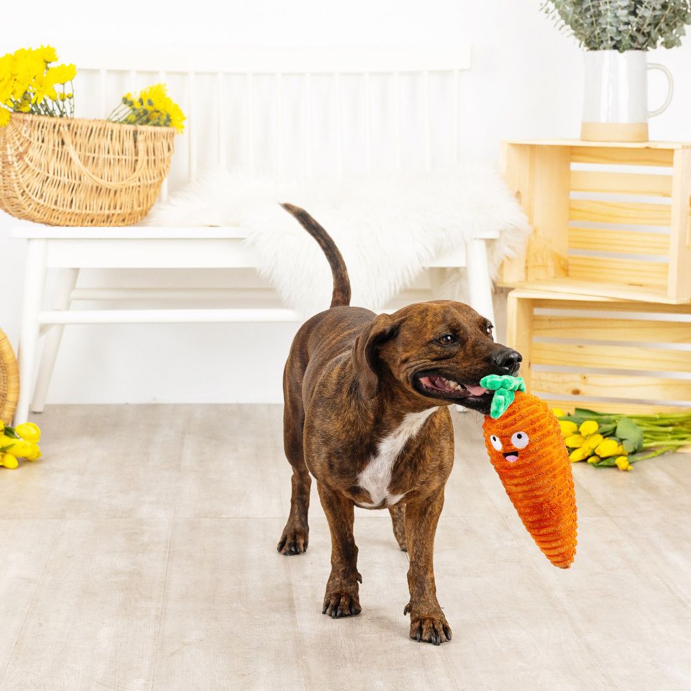 Juguete Tipo Plush para Perro - Root! There It Is de Fringe®