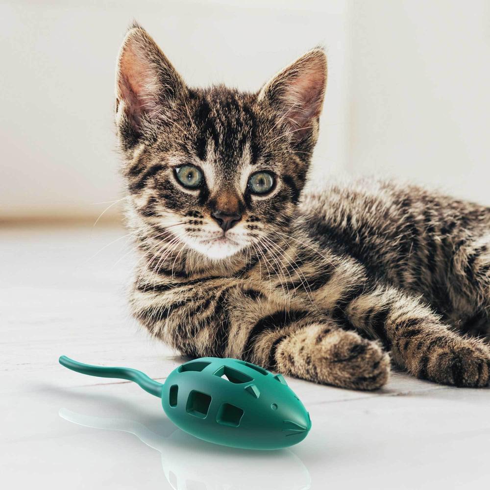 Juguete Interactivo para Gatos - Mouse Cat Treat Toy de Aïkiou®